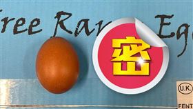 有緣人上門！極品雞蛋「十億分之一」售出　一顆賣1萬8000（圖／翻攝自Fenton Farm Eggs臉書）