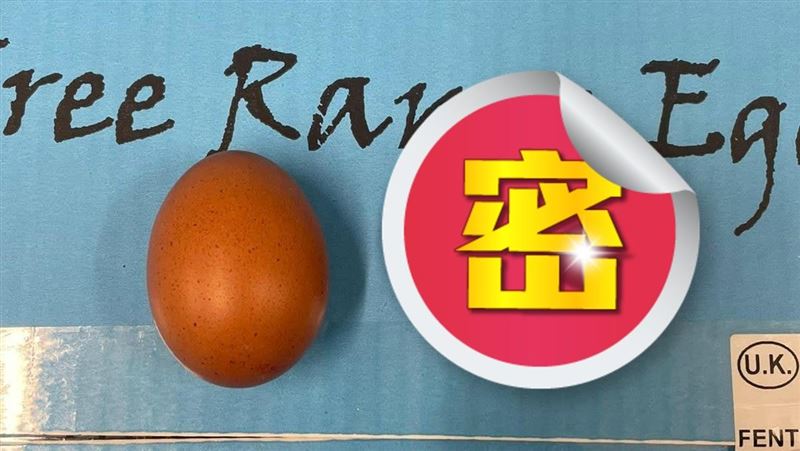 極品雞蛋「十億分之一」售出 一顆1萬8000