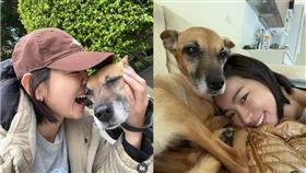 米可白愛犬錢錢罹患胃癌。（圖／翻攝自米可白IG）