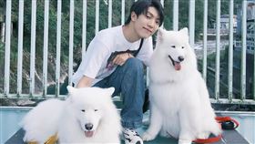 ▲卡特呼籲飼主務必遵守規定，替愛犬繫上牽繩。（圖／翻攝自卡特IG）