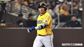 ▲中職36年，中信兄弟左外野手曾頌恩遭到三振。（圖／記者劉彥池攝影）