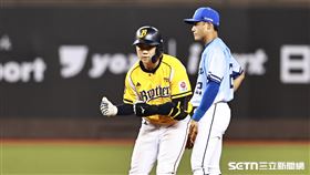 ▲中職36年，中信兄弟游擊手江坤宇敲出二壘安打。（圖／記者劉彥池攝影）