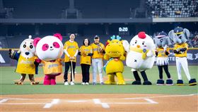 ▲中信金控高麗雪總經理(左四)、台灣人壽莊中慶總經理(左三)於中信兄弟開幕戰連袂開球。（圖／台灣人壽提供） 