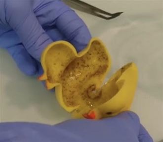 洗澡竟洗到差點失明！醫點名4玩具最危險