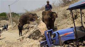 緬甸7.7強震，釀千人死亡，反抗軍暫停進攻，派大象救災(圖／翻攝自X平台@NUGMyanmar)