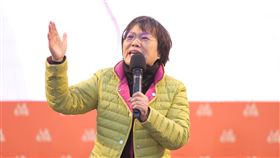 內政部長劉世芳宣講。（圖／民進黨提供)