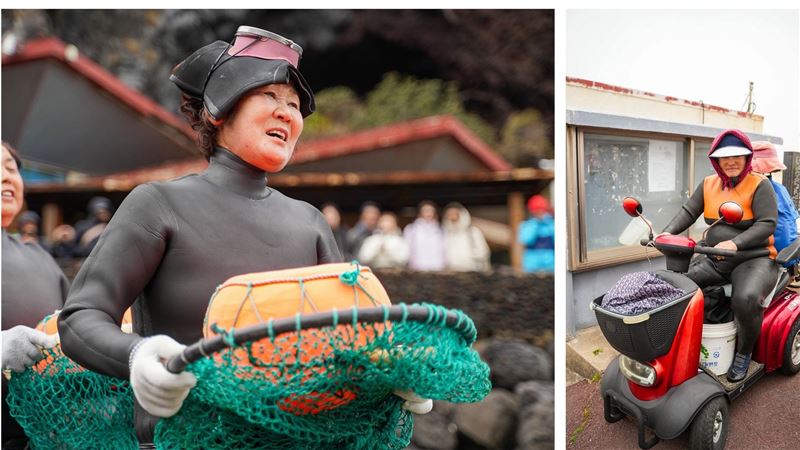 《苦盡柑來遇見你》濟州海女生活有多苦？