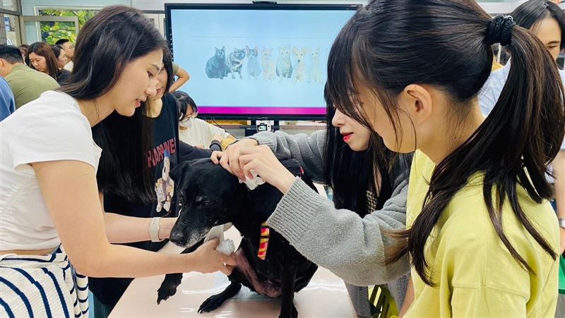 仁德醫專開辦台灣首屆獸醫助理學分班