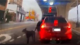 ▲台中一輛紅車停在快車道上，突然將小黑狗丟包，嚇壞路人。（圖／翻攝爆料公社臉書）