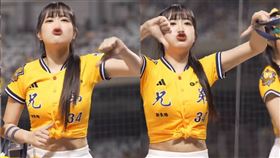 中信兄弟,Passion Sisters,邊荷律,변하율,大巨蛋,應援,倒讚,象迷,啦啦隊,翔平的小象粉絲團（圖／翻攝自baseballgameday IG）