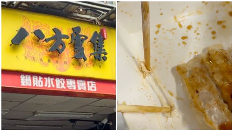 新／鍋貼吃到嚼過口香糖　八方雲集說話了