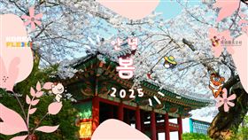 K-FANS會員制是韓國觀光公社台北支社專為熱愛韓國旅遊的台灣旅客打造的集點回饋計畫。（圖／翻攝自韓國觀光公社 台北支社粉專）