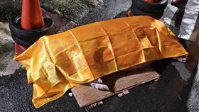 寵物豬,事故,死亡,車禍（圖／翻攝自《新竹大小事》）