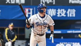 ▲中職36年新莊棒球場開幕戰，富邦悍將捕手戴培峰單場3安，差三壘安打締造「完全打擊」。（圖／記者劉彥池攝影）