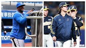 ▲富邦悍將打擊教練鮑伊（Charlie Poe）和中信兄弟打擊教練莎菈（Sarah Edwards）。（圖／記者劉彥池攝影）