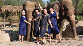 外景出事了　女主持人1器官浮腫變形