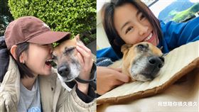 ▲米可白透過臉書分享與錢錢的安寧日常。（圖／翻攝自米可白臉書）