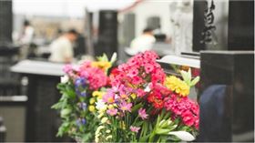 ▲清明掃墓。（圖／CANVA）