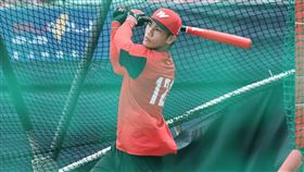 ▲味全龍新秀曾聖安，中職初登場就是在一軍。（圖／味全龍提供）