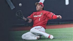 ▲味全龍陳子豪睽違1467天鎮守左外野，圖為次日美技守備。（圖／味全龍提供）