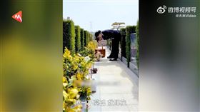 （圖／翻攝自微博大米VIDEO）
