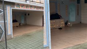 新竹,祖先,流浪漢,網友,管家,祖墳,守墓人,清明,掃墓,祭祖▲圖片描述。（圖／翻攝自Thread@leo_890723帳號）