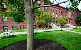 翻攝哈佛大學X平台@Harvard