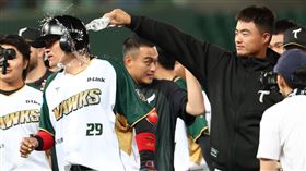 ▲台鋼雄鷹4日靠著張肇元的再見安打，在主場逆轉擊敗樂天桃猿。（圖／台鋼雄鷹提供） 