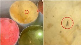 有民眾今日在南港某自助式火鍋店消費，在店家提供的冰淇淋中看見點點黑點，原本以為全是冰淇淋自帶的巧克力碎片，誰知細看卻發現其中竟然混雜了2隻蟑螂屍體。（圖／翻攝Threads／當事民眾授權使用）