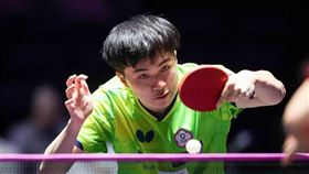 台灣桌球好手林昀儒。（圖／翻攝自WTT官網）