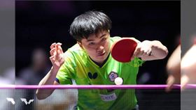 台灣桌球好手林昀儒。（圖／翻攝自WTT官網）