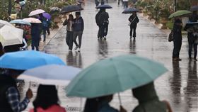 華南雲系東移水氣增多 清明假期後降雨機率更高清明節連假，中央氣象署表示5日華南雲系東移，水氣增多，中部以北氣溫較4日明顯下降，氣象署預測，連假過後受華南雲系及鋒面影響，降雨機率更高，圖為雨天台北市新生公園內民眾。中央社記者王飛華攝 114年4月5日