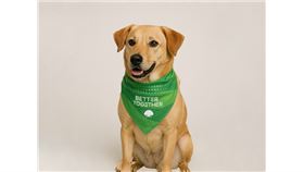 ▲國泰金控健康走，當天現場另準備限定100組健康寵物領巾。（圖／國泰金控提供）