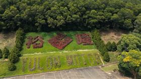 關稅保護說成配合政府？高嘉瑜再轟裕隆「敗家子」：阿斗就是阿斗！裕隆汽車YouTube