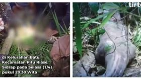 6公尺巨蟒「蛇身撐出人形」　村民剖蛇肚驚見完整女屍