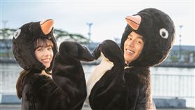 ▲青春奇幻愛情片《命中註定那頭鵝》。（圖／台北双喜提供）