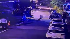 花蓮縣秀林鄉銅門村日前發生男童被大型犬咬傷事件，一名梁姓民眾飼養多隻具有攻擊性的犬隻，其中包括比特犬，因遛狗都不牽繩，導致去年發生兩起家貓被咬死案例。今年4月2日，1名8歲男童外出時，又被梁男所飼養的犬隻咬傷小腿。貓咪飼主馬先生控訴，去年8月就已經報案且並向動保所反映，但都沒有下文，行政效率低落、怠惰失職，才又再發生意外。（圖／翻攝畫面）