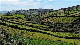 ▲ 透過提升經營效益、優化羊群表現、利用補助、改善基礎設施與規劃傳承，確保山區農場的可持續發展。（圖／永續新聞網官網） 