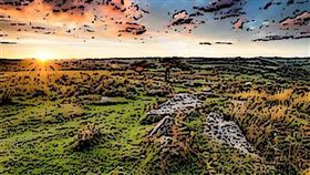 ▲ 林地信託基金會成功試驗本地木材供應建築市場，促進可持續林業發展並減少對進口木材的依賴。（圖／永續新聞網官網） 