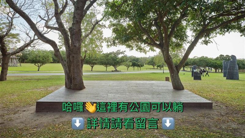 台股崩跌！史前館邀「睡公園」股民瘋朝聖