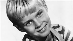 資深美國演員傑·諾斯（Jay North）離世。（圖／達志影像）