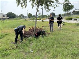 毒埋公園土裡買家挖土取貨　慘栽在犬鼻上（圖／翻攝畫面）