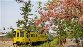 彰化二水花旗木盛開 吸引人潮彰化縣二水鄉員集路的花旗木從3月底開始陸續開花，由於花旗木正好在台鐵集集支線鐵道旁，粉紅色的花朵搭配鐵道形成美景，吸引不少民眾前往賞花。（彰化縣政府提供）中央社記者吳哲豪傳真 112年4月5日