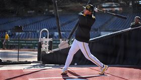 ▲鄭宗哲升上大聯盟，賽前參與打擊練習。（圖／翻攝自海盜推特）