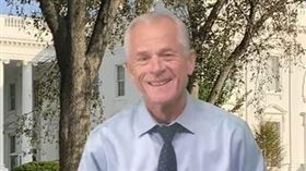 翻攝納瓦羅官方IG