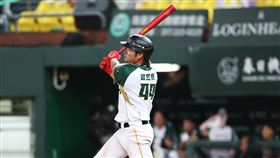 ▲台鋼雄鷹曾昱磬敲出一軍生涯首轟。（圖／台鋼雄鷹提供） 