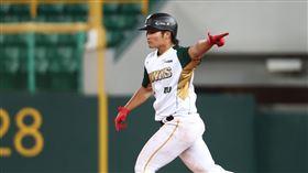 ▲宅鋼雄鷹曾昱磬敲出一軍生涯首轟。（圖／台鋼雄鷹提供） 