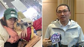 ▲米可白跟愛犬錢錢,侯友宜。（組合圖／翻攝畫面）