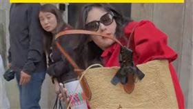 張柏芝當街翻包找禮物要送粉絲（圖／翻攝微博）