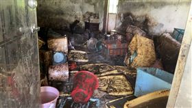 屋內地面布滿犬隻排泄物與汙泥，飼養環境惡臭髒亂。（圖／新北動保處提供提供）